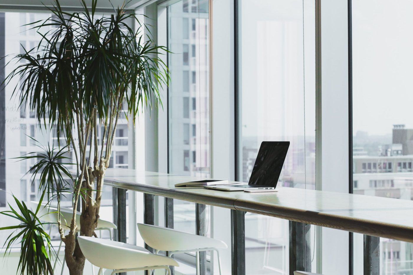 Biophilic living wall in a sustainable building