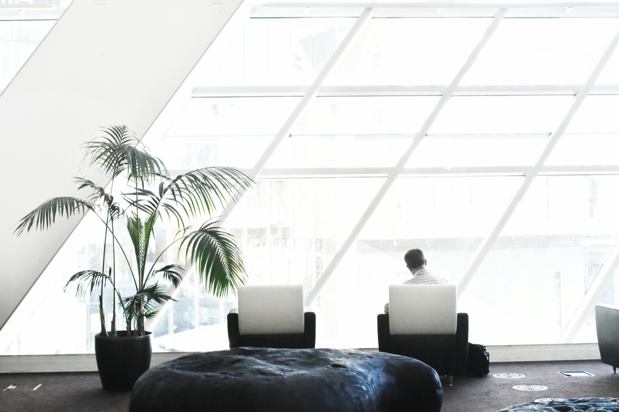 A light-filled commercial interior