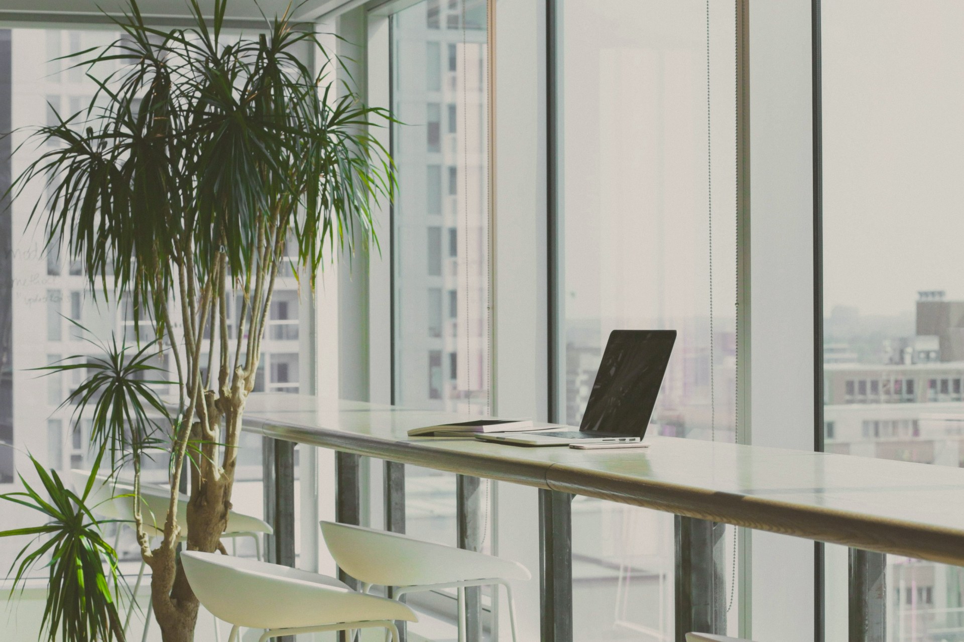 Un espace de travail tranquille près d’une fenêtre, avec un ordinateur portable sur un long comptoir, des tabourets blancs et une grande plante en pot